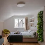 Appartement Alba Mountain *