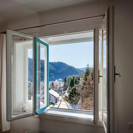 Apartment Alba Mountain